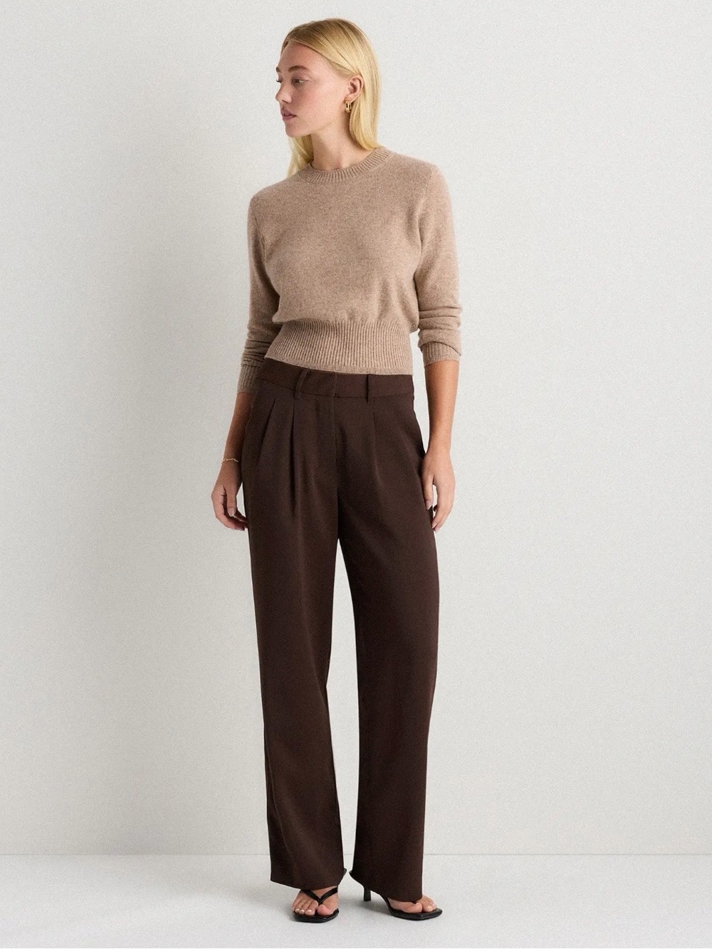 Quince Stretch Crepe Pleated Wide Leg Pants in CoffeeBeanBrown, 6, 30in Inseam